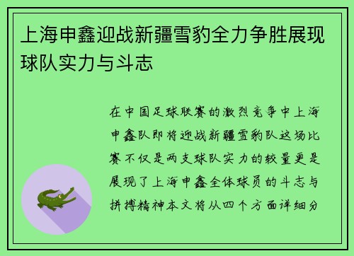 上海申鑫迎战新疆雪豹全力争胜展现球队实力与斗志
