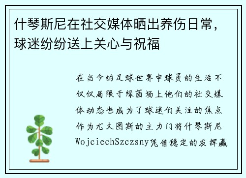 什琴斯尼在社交媒体晒出养伤日常，球迷纷纷送上关心与祝福