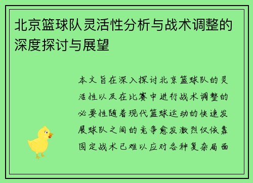 北京篮球队灵活性分析与战术调整的深度探讨与展望