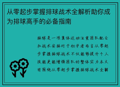 从零起步掌握排球战术全解析助你成为排球高手的必备指南